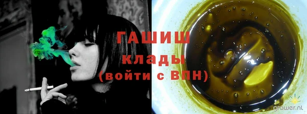 индика Рославль